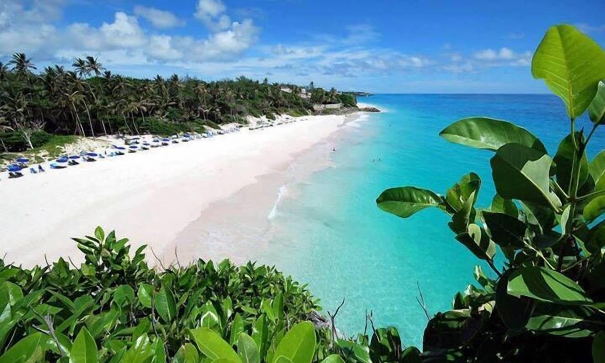 Diamond Valley Apartment | Barbados - 2 Bed Ocean View Apartment Private Pool