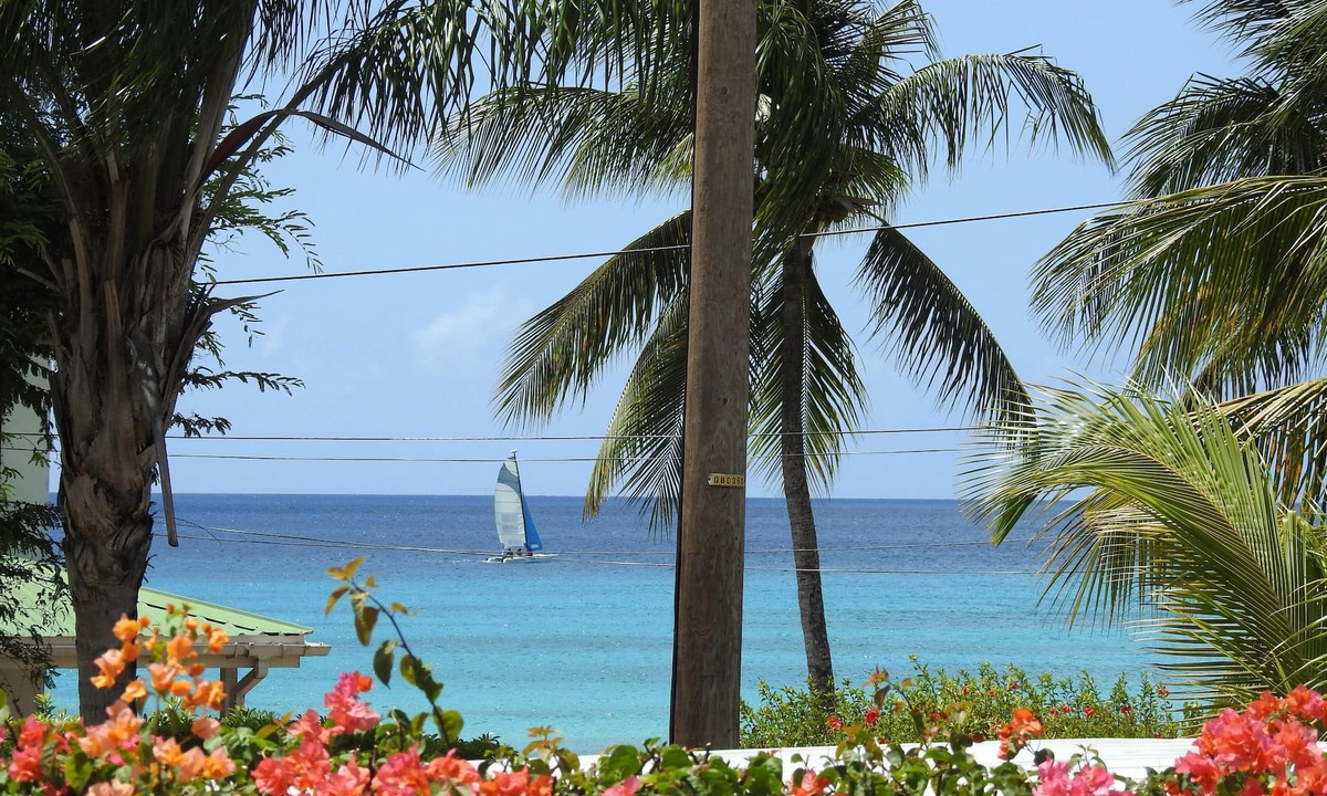 Fitts Village House | Modern Beach-View Villa