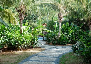 Cottage 2 in St Thomas