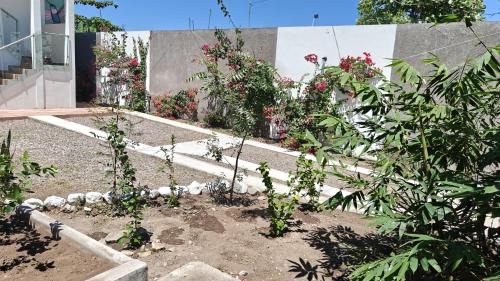 San Blas Apartment | Bungalows Anton