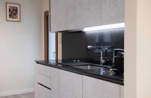 Oerlikon Apartment | Golden Harmony Apartment in Zurich Oerlikon