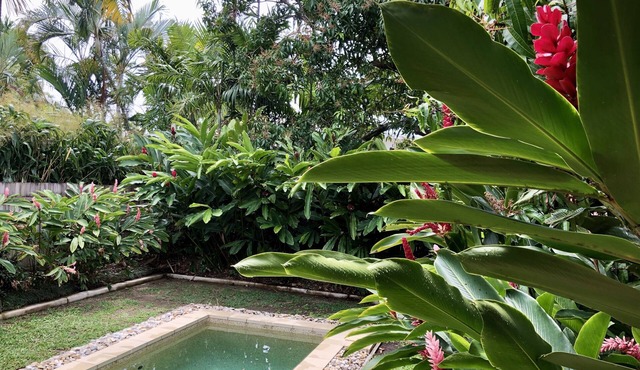 3 minute walk to the beach and cafes! in Palm Cove