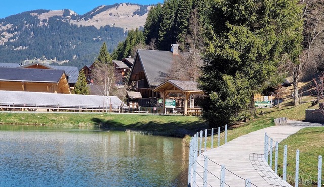 380 m² + sauna + 5 fitness passes for Châtel + 15 free multipasses in Châtel