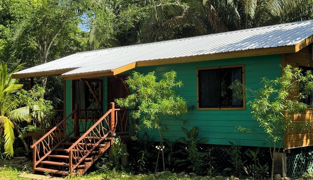 Amazing Jungle Retreat Close to San Ignacio in Bullet Tree Falls
