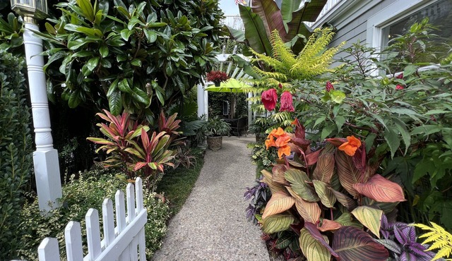 Best Patio on Commercial-Tropical Garden-Prime Location in Provincetown