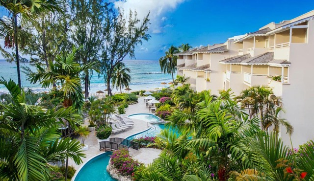 Bougainvillea Barbados