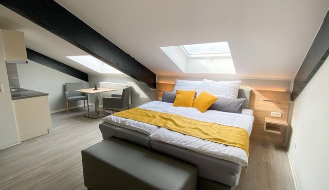 Business double room with kitchenette, shower WC - Boardinghouse Breitscheid in Breitscheid