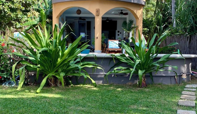 Casa Pelicanos is a private beachfront home with pool. Short walk to town. in Troncones