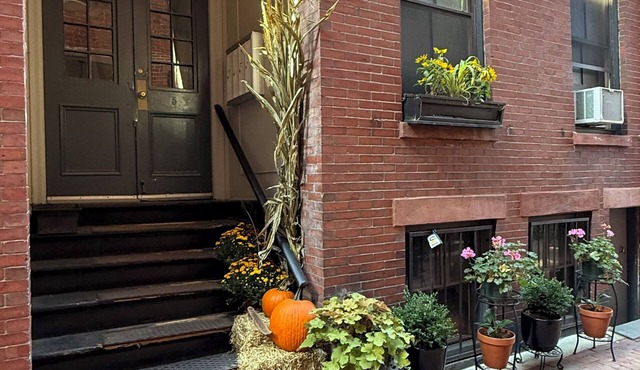 Charming & Private 1-bedroom Condo in Historic Boston - next to MGH hospital! in BOSTON