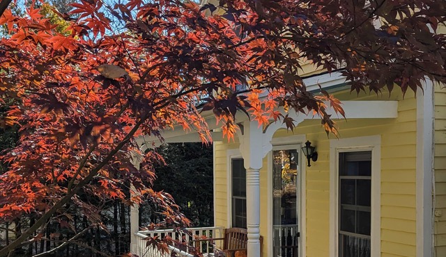 Cozy Cottage in Historic Norfolk in Norfolk