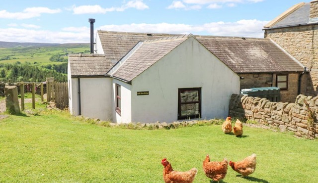 Dale View Cottage: Cozy Retreat in Hexham