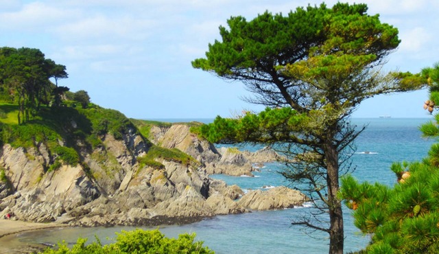 Detached Cottage Overlooking The Sea in Lee