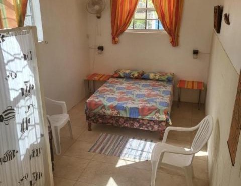 Dolphin Inn Guesthouse & Apartments