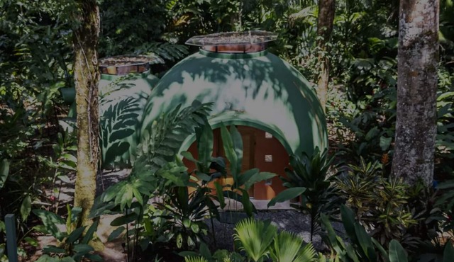 Dome shaped bungalow in a lush tropical forest, steps away from ocean views. in Bocas del Toro