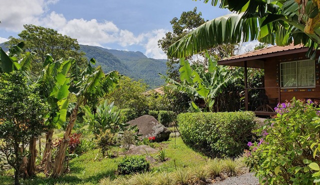 Ecoresort: We are Panamas leading honey producer and butterfly exhibit. in Boquete