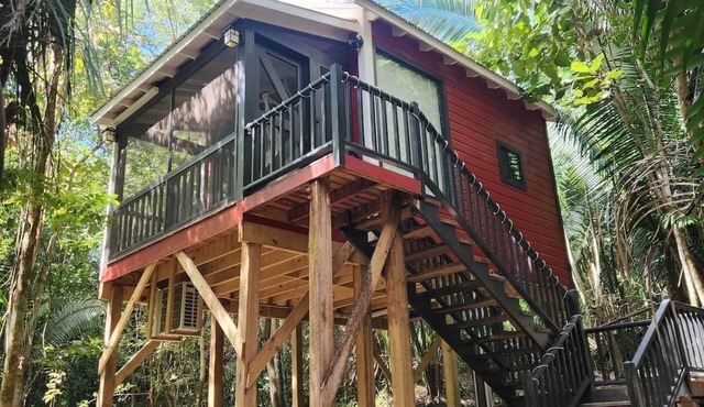 Enchanted Jungle Treehouse in Spanish Lookout