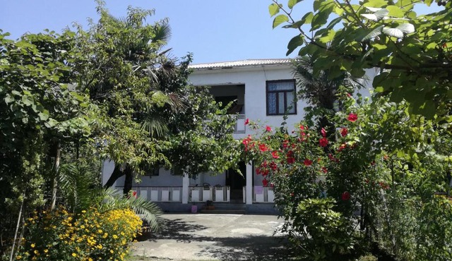 Guest House Makhinjauri in Batumi