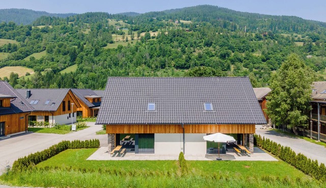 Large double chalet with garden near ski resort in Kreischberg