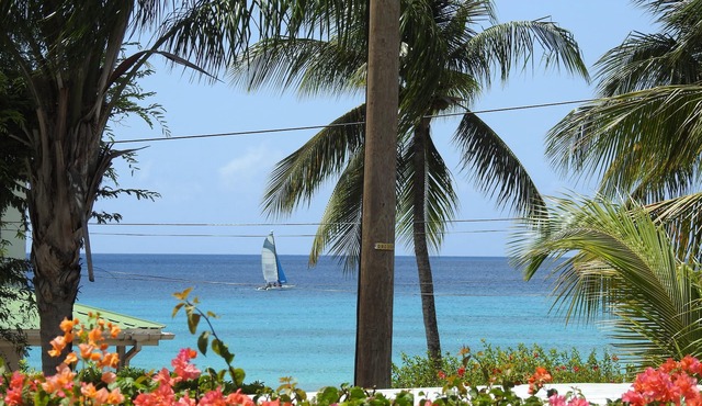 Modern Beach-View Villa