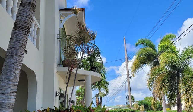 Relaxing, Amazing beach, pool, Cheap cars, quiet area, surfers paradise 2