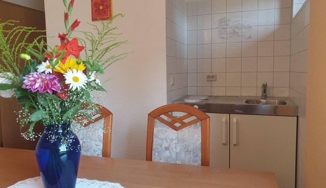 Siegmundsburger Haus Werraquelle here Apartment "Traumwelt" family-/pet-friendly in Siegmundsburg