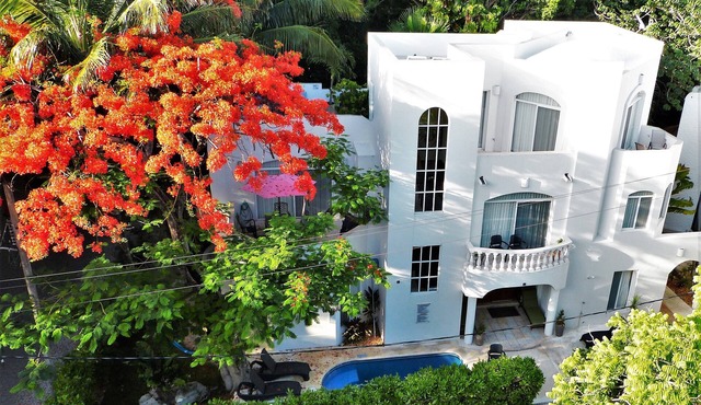 Spacious Oceanview Villa, steps to beach, 24hr gated community, Playacar Fase 1 in Playa del Carmen