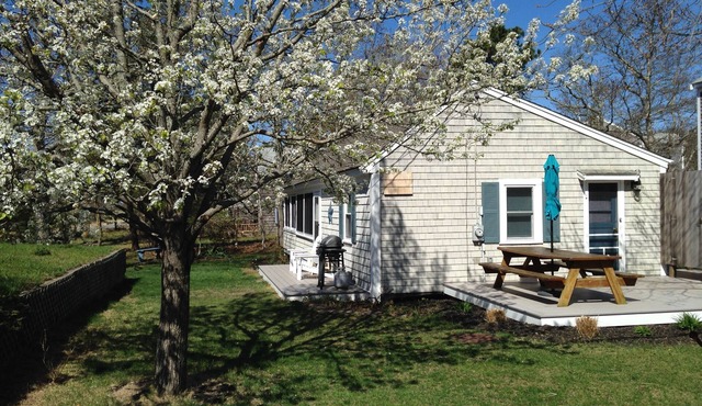 Steps to Cooks Brook Beach! A/C, Heat, Wifi, Outdoor Shower, Gas Grill in Eastham