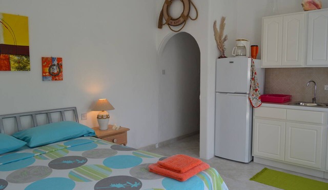 Tropical Gecko Studio