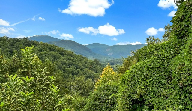 Views, Mirror Lake Access, Wood Fireplace - Juve' Cabin by Carolina Properties in Lake Lure