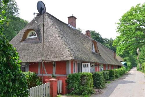 Wohnungen unter Reet in Krems II