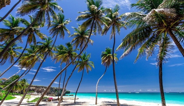 Your private oasis, just a short stroll from beautiful Bottom Bay beach