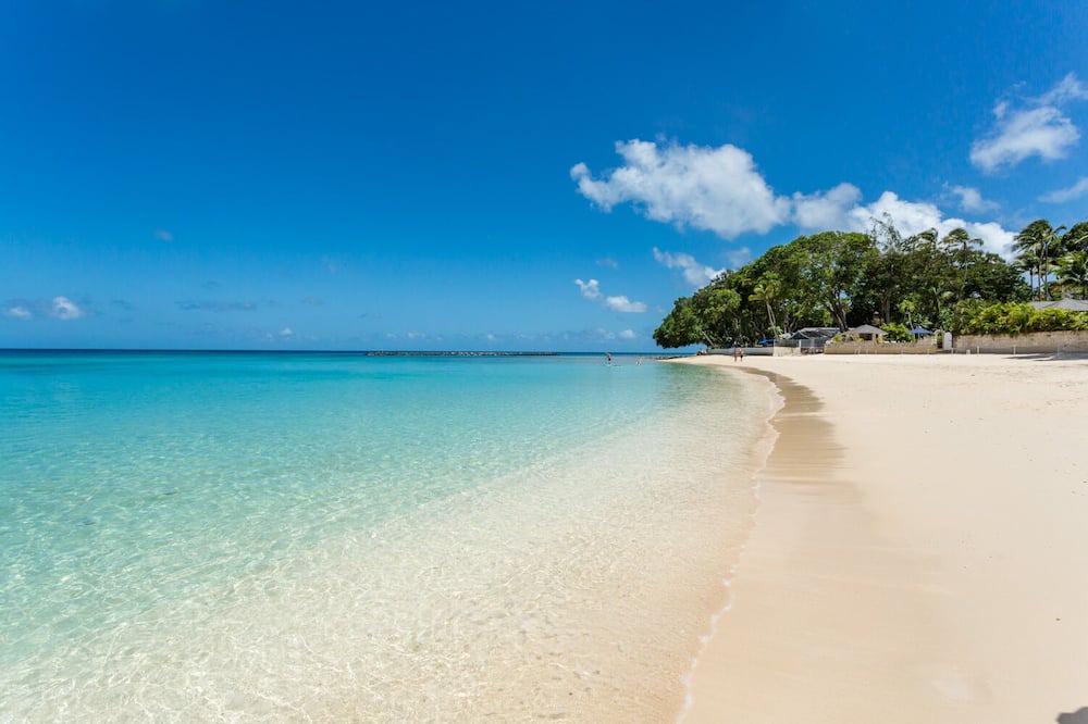 Photo of Others in Old Trees Bay