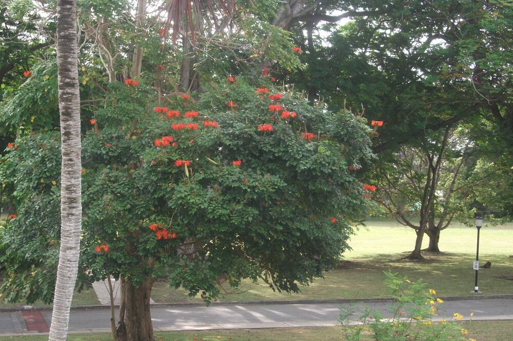 Photo of Others in Rockley