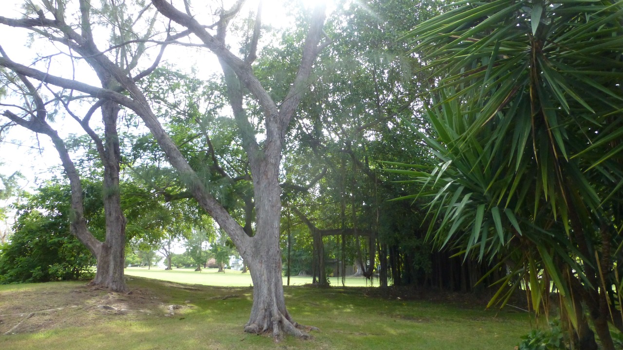 Photo of Outdoor in Rockley