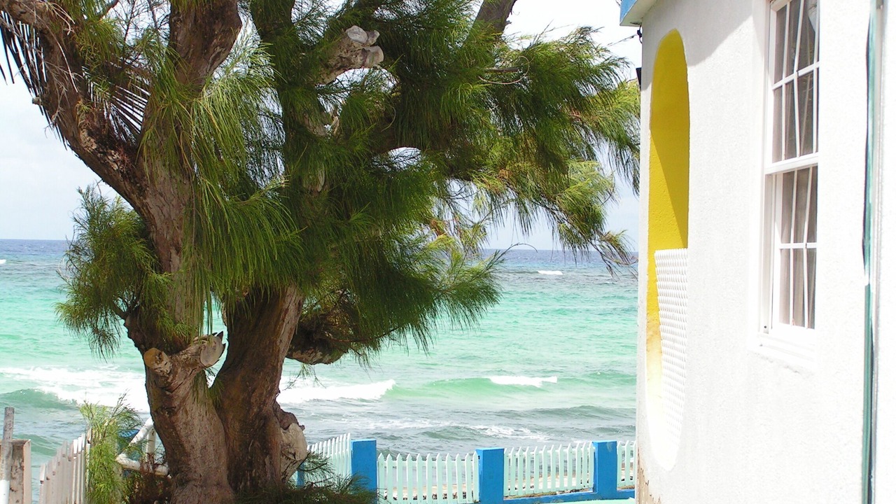 Photo of Outdoor in Silver Sands