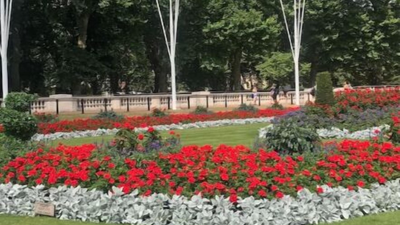 Photo of Outdoor in Weston