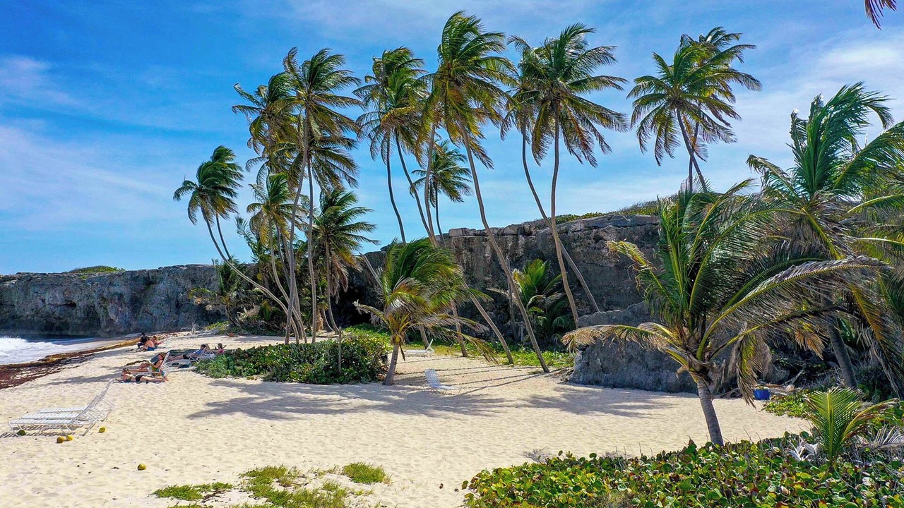Photo of Outdoor in Belair