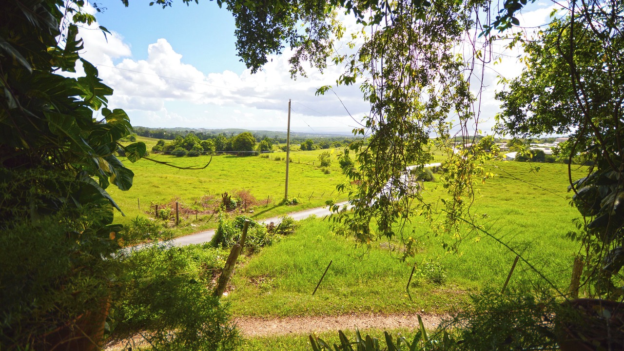 Photo of Others in Dunscombe