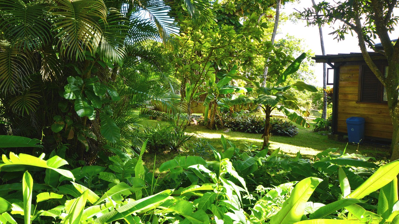 Photo of Outdoor in Dunscombe