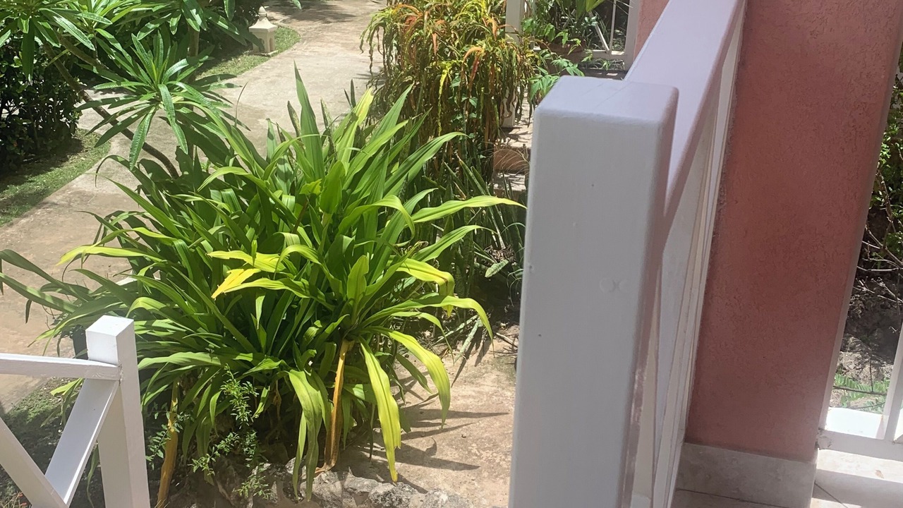 Photo of Outdoor in Prospect