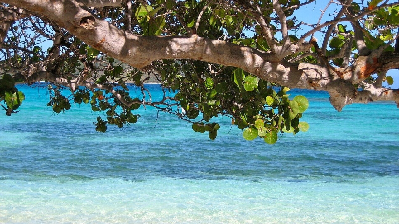 Photo of Others in Speightstown
