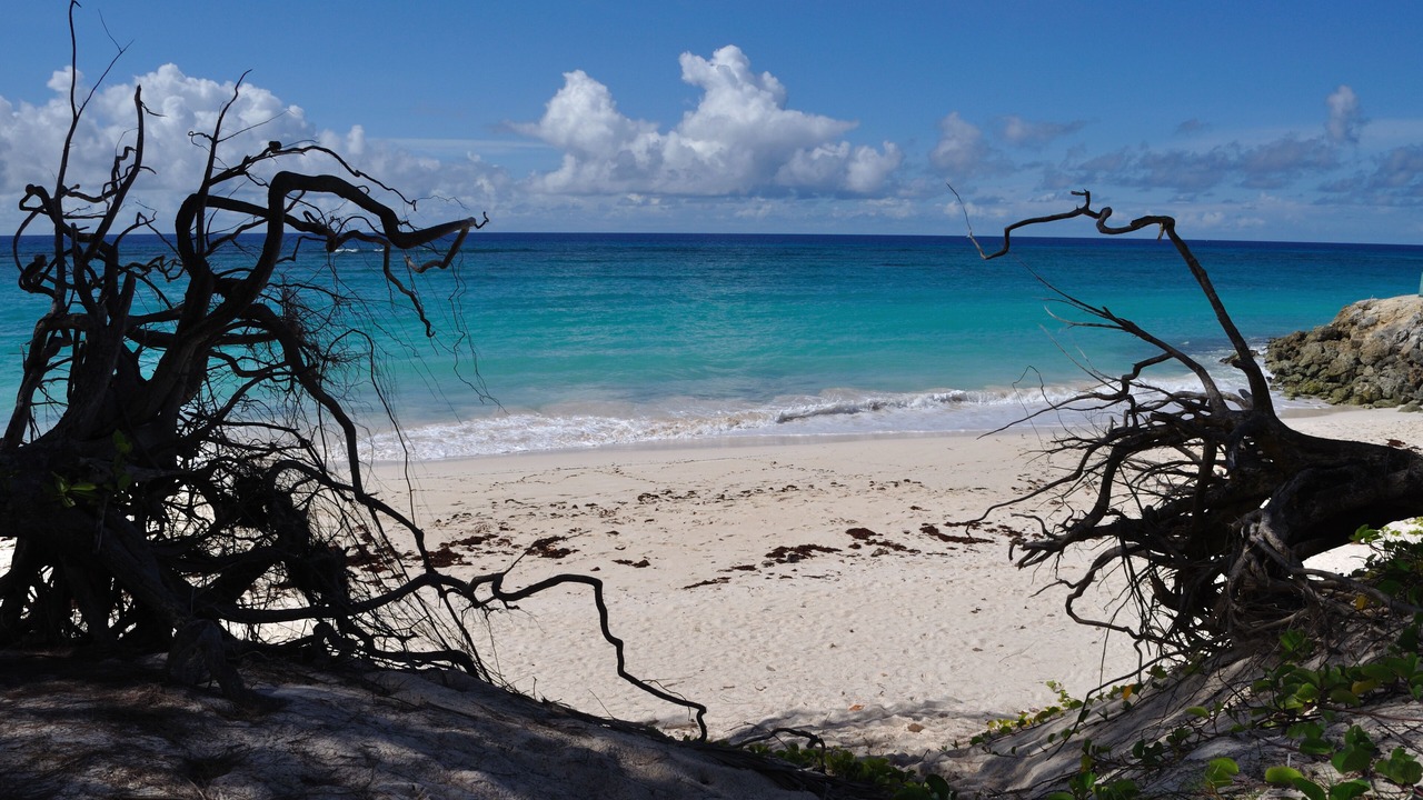 Photo of Others in Silver Sands