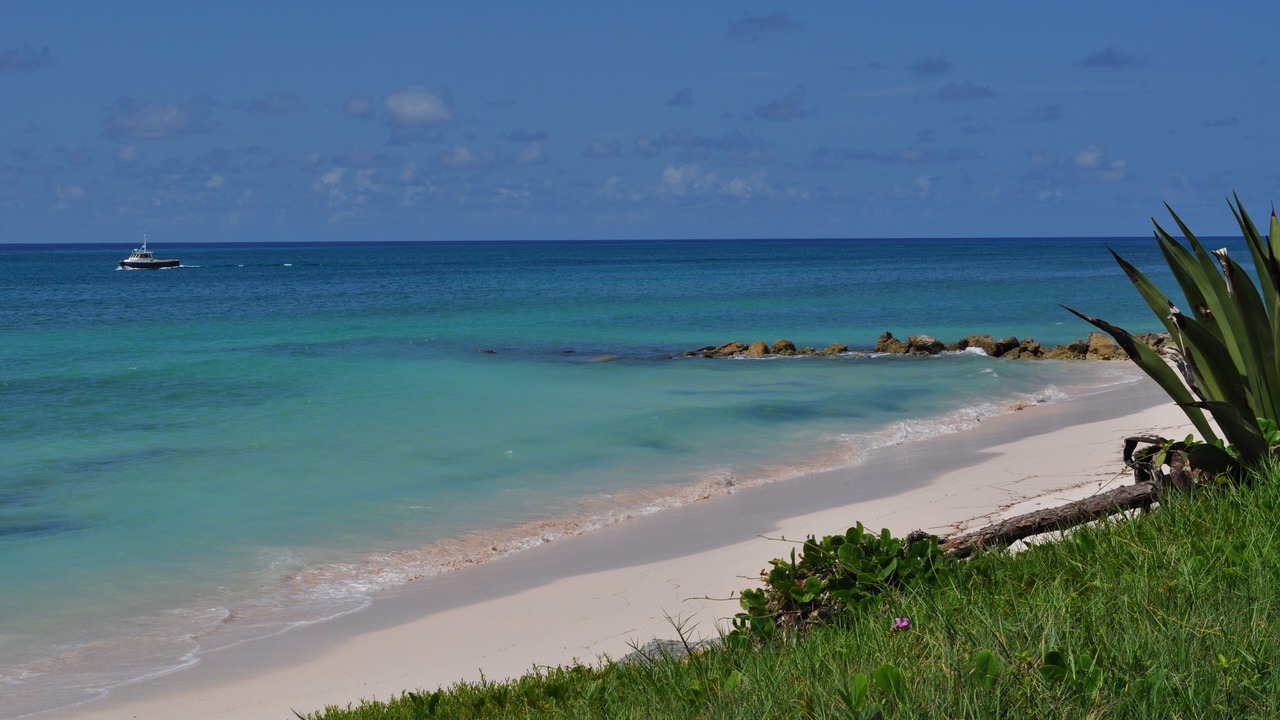 Photo of Others in Silver Sands