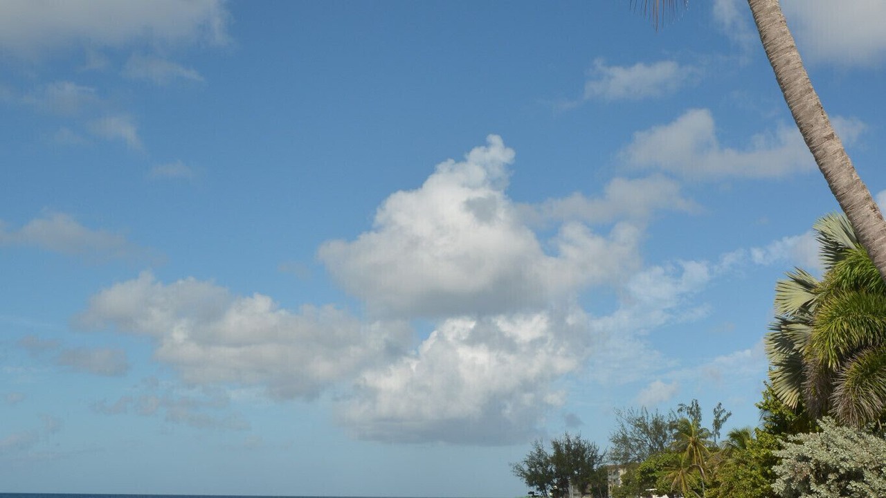 Photo of Others in Saint Lawrence