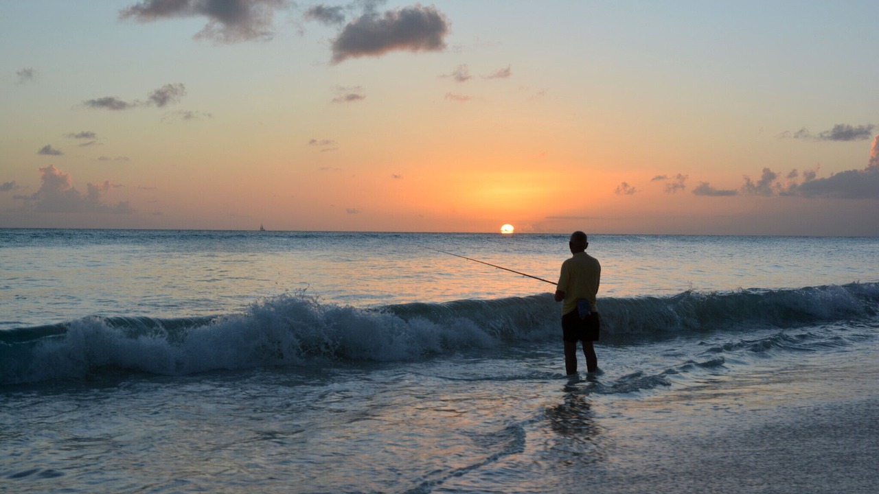 Photo of Others in Saint Lawrence