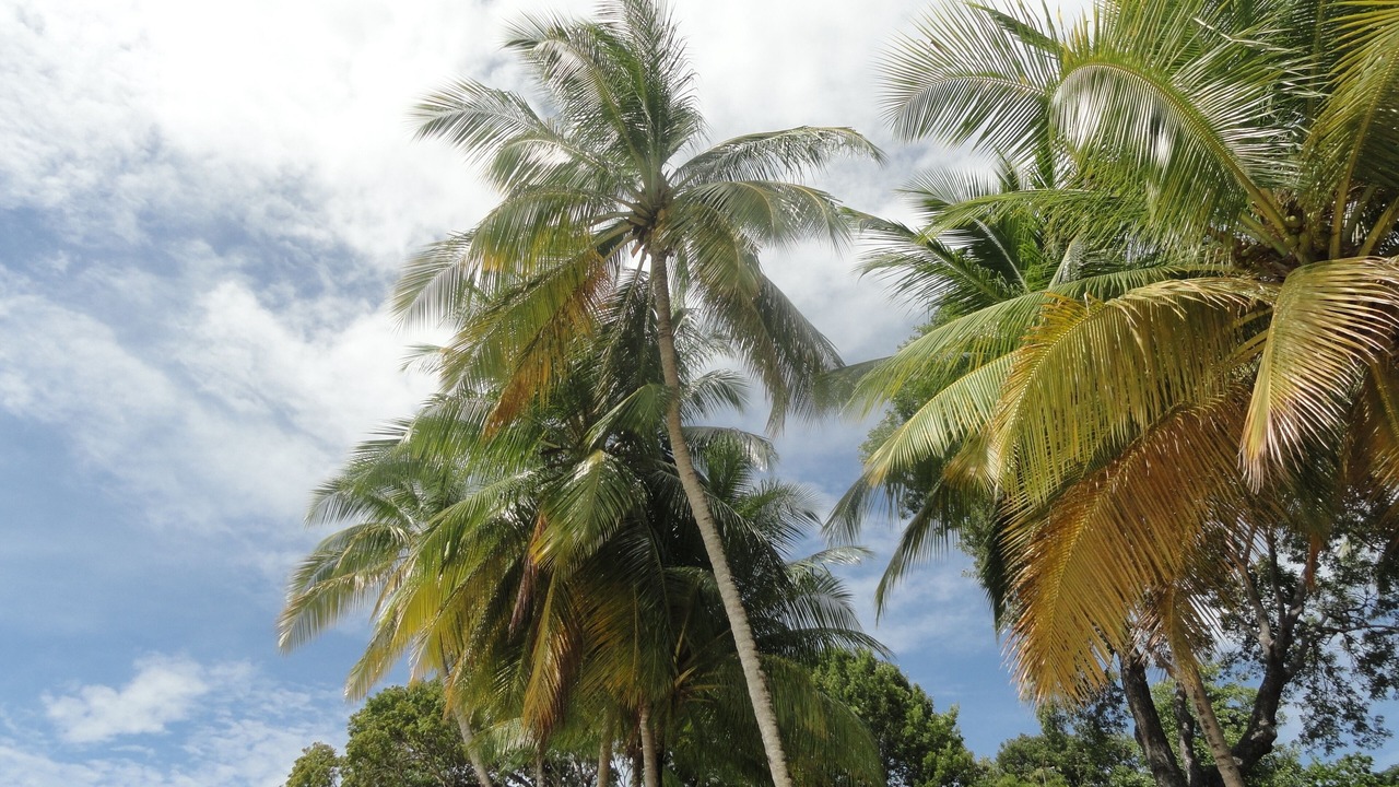 Photo of Outdoor in Lascelles