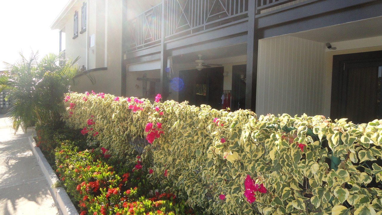 Photo of Outdoor in Lascelles