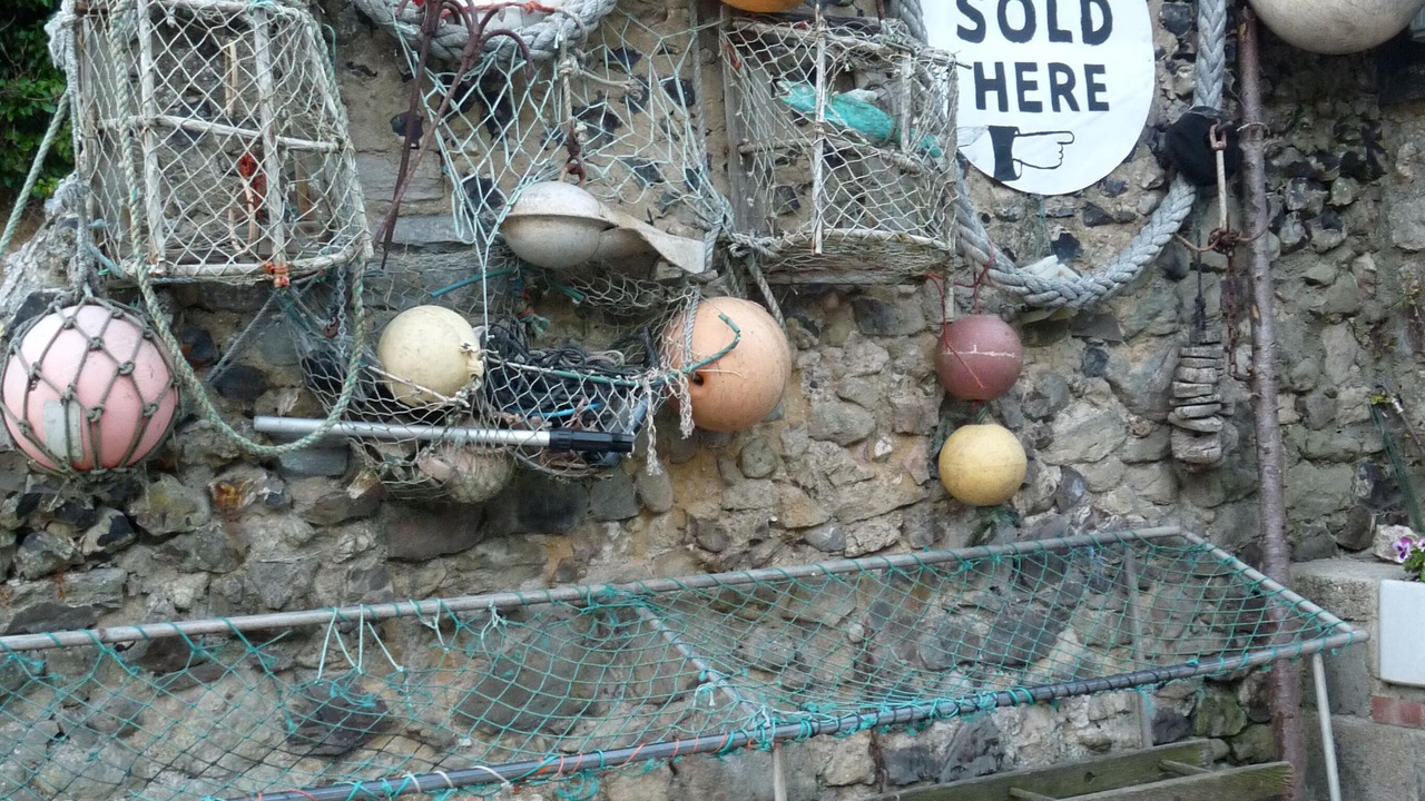 Photo of Outdoor in Beer