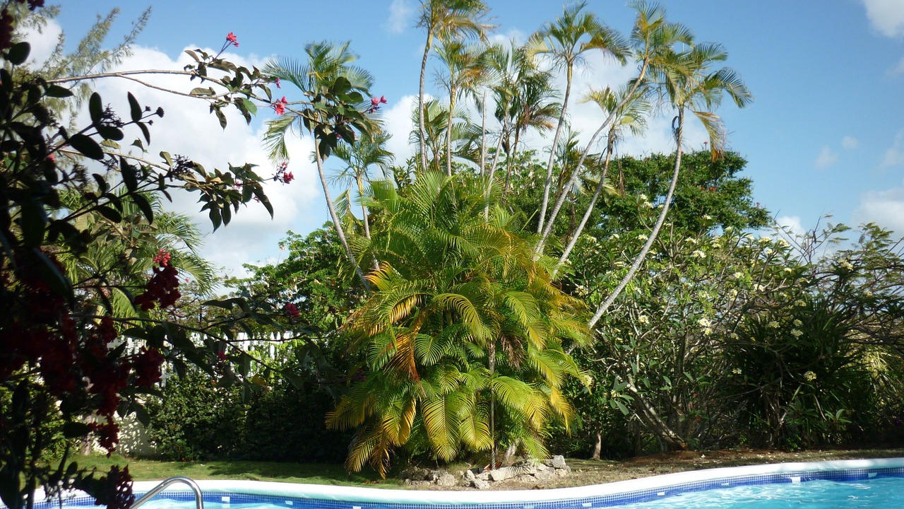 Photo of Outdoor in Merlin Bay