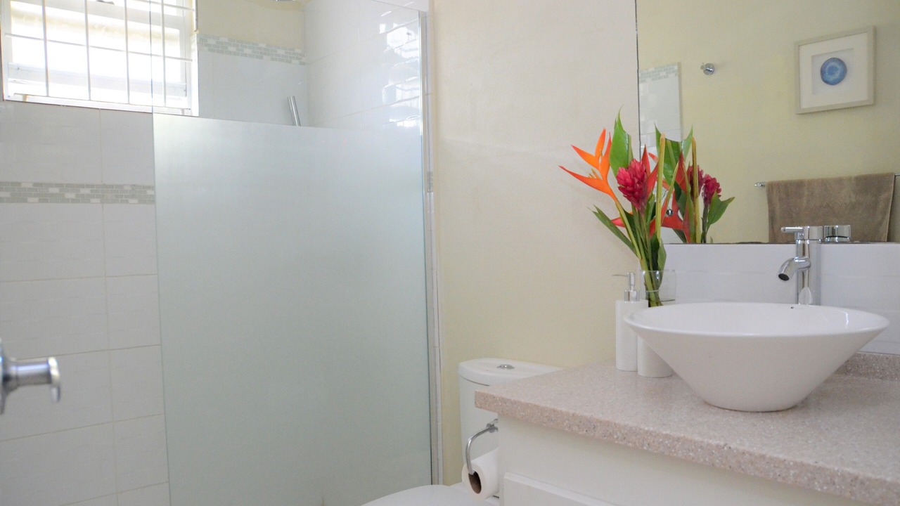 Photo of Bathroom in Douglas